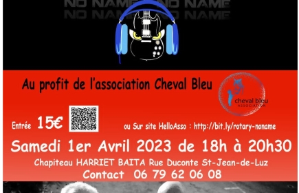 Concert de Rock au profit de l'association " Cheval Bleu"