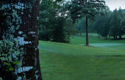 Tournoi de golf 
Action au profit de l'Association " Tous Pour Agosti"